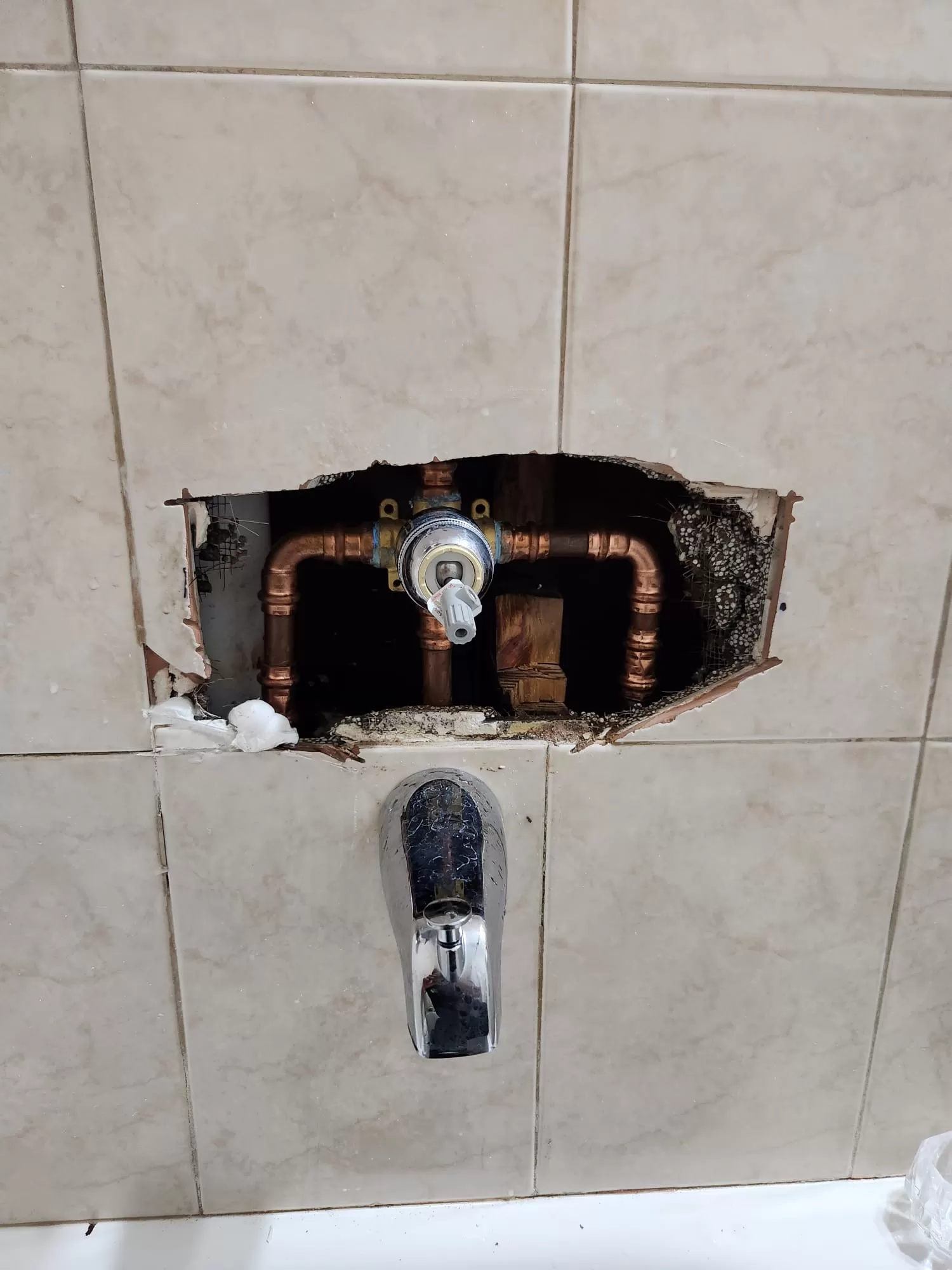 FL Plumber