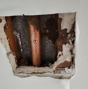 Drain and Sewer Solutions