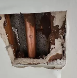 Drain and Sewer Solutions