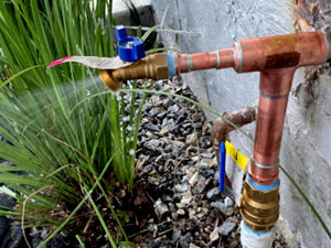 Leak Detection and Pipe Repair