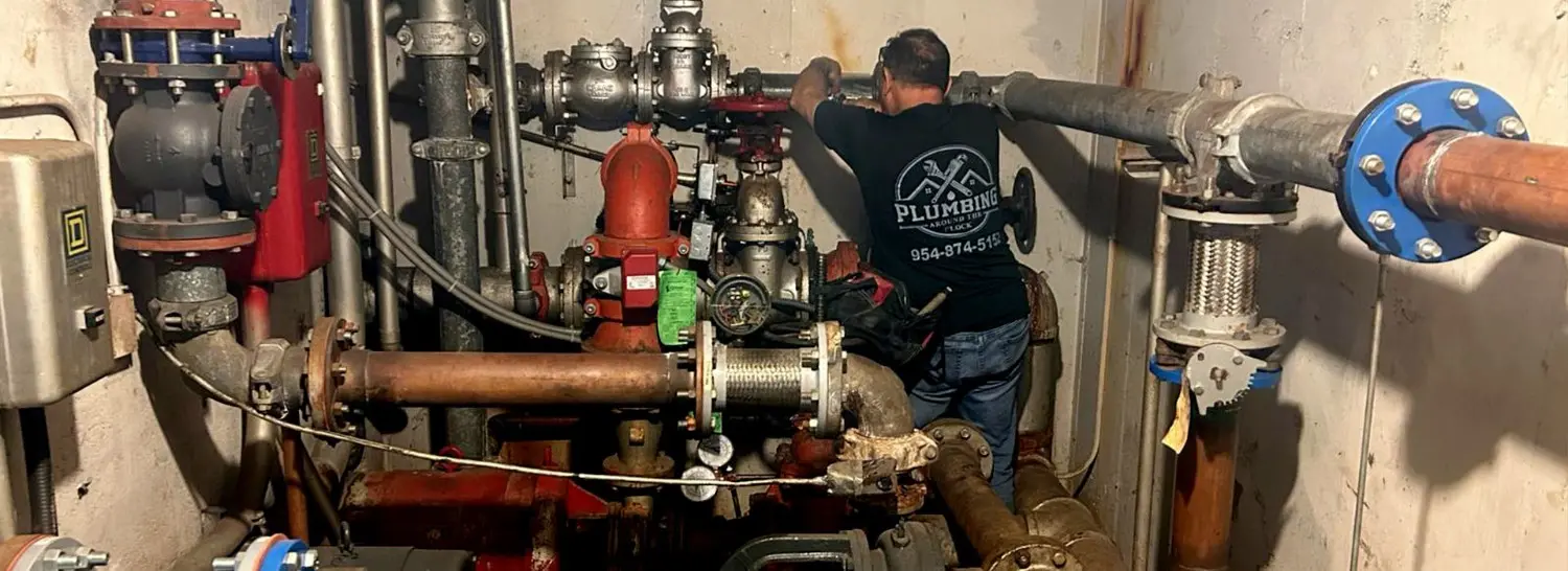 Professional Plumbing Services Boulevard Heights, FL