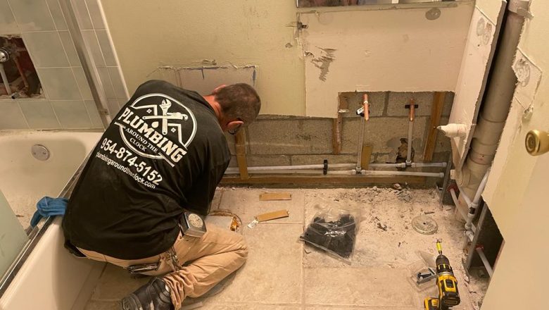 Professional Plumbing Services in Broadview Park, FL